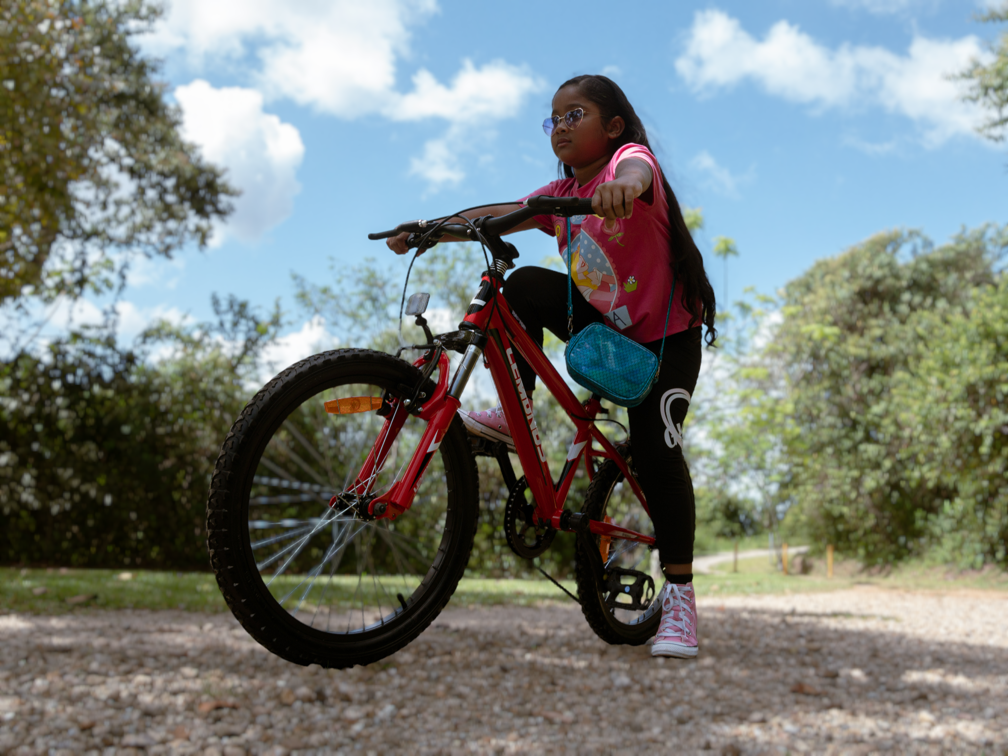BICICLETA MONTAÑERA 20 pulgadas | Bicicleta infantil para niños/niñas de aprox.  6 a 9 años
