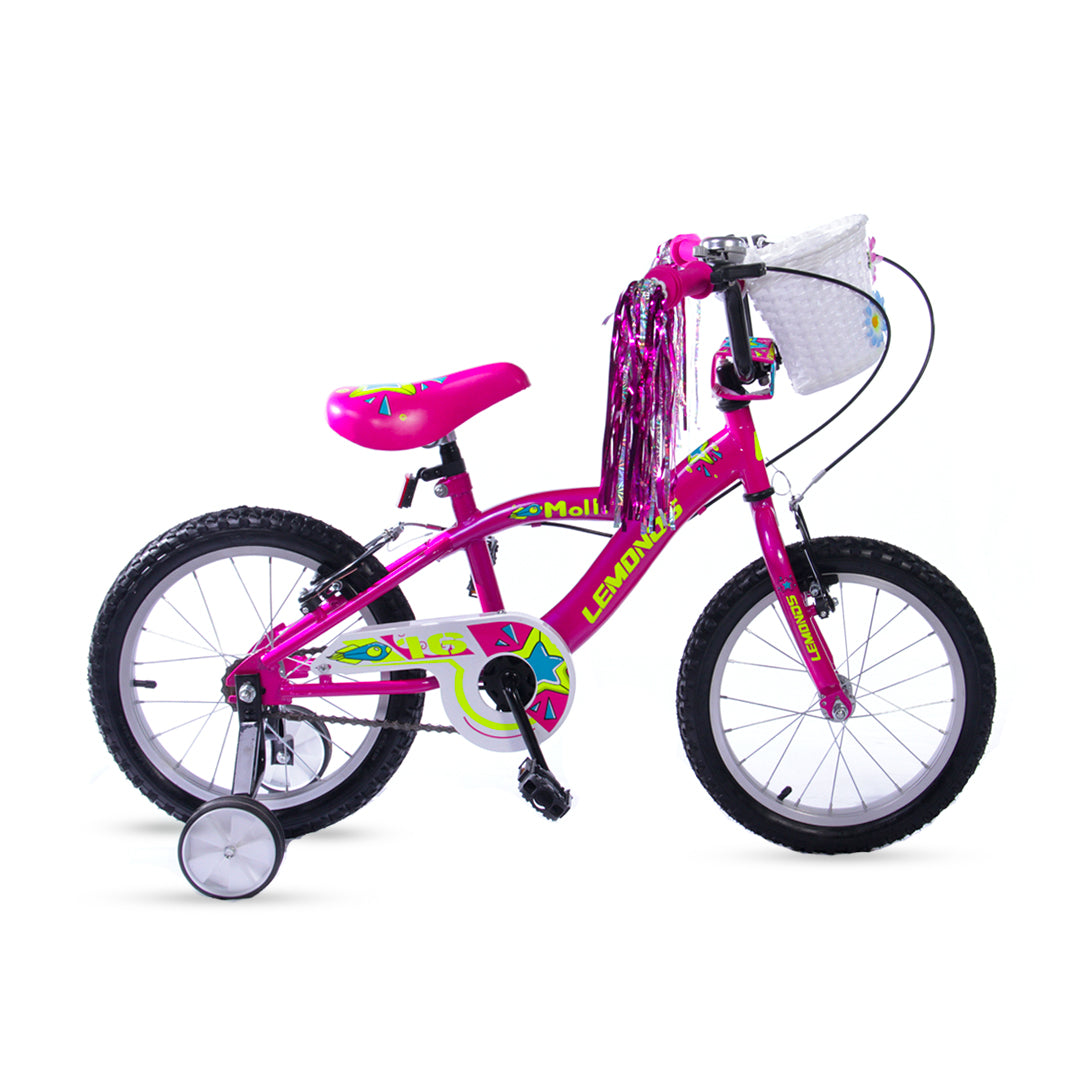 BICICLETA INFANTIL 16 pulgadas | Bicicleta infantil para niñas de aproxi. 4 a 6 años