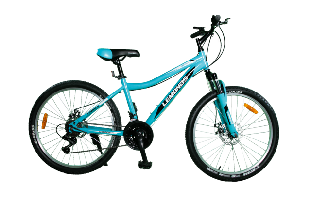 BICICLETA MONTAÑERA 24 pulgadas MODELO DAMA | Bicicleta de adulto